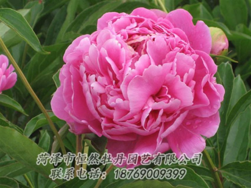點擊查看詳細(xì)信息<br>標(biāo)題：月照山河 閱讀次數(shù)：1072